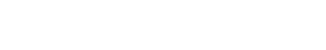 logo footer
